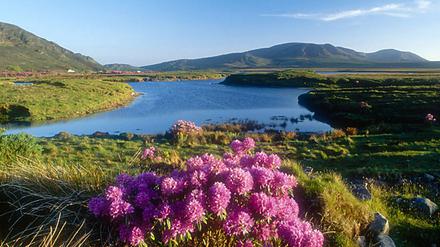 Irland