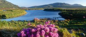 Irland