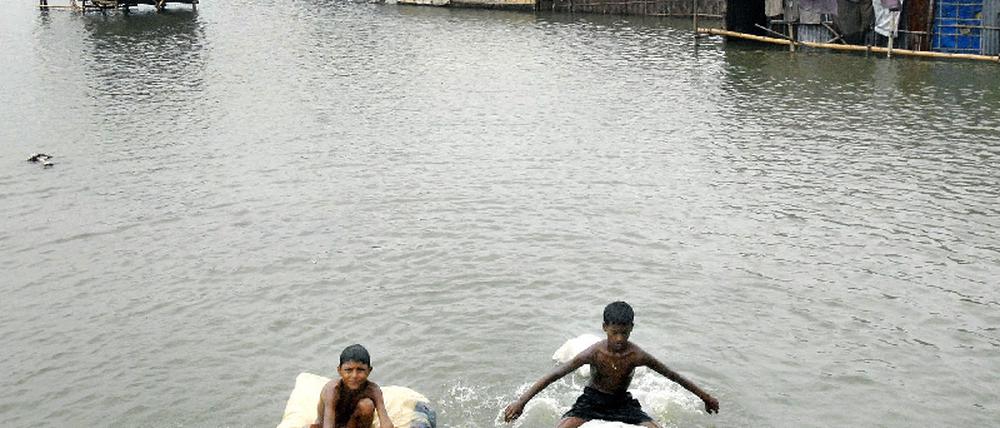 Flut
