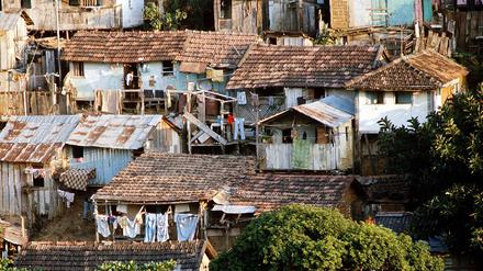Favela