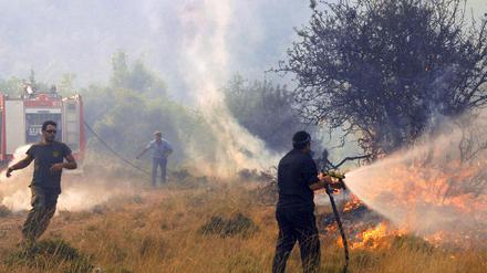 Brand