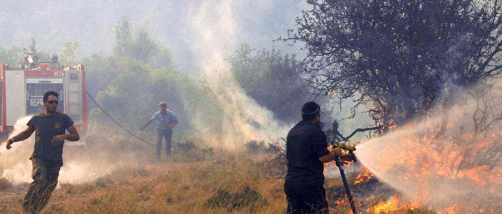 Brand