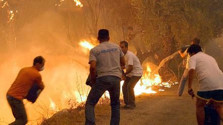 070825waldbrand
