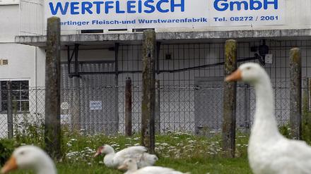 Gammelfleisch