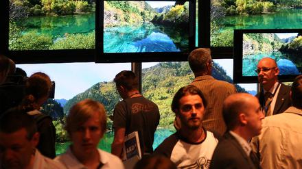 Ifa 2007