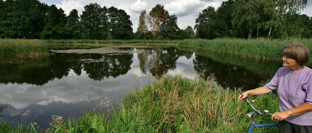 Lakomaer Teiche