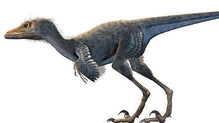 Dino