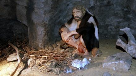 Neandertaler