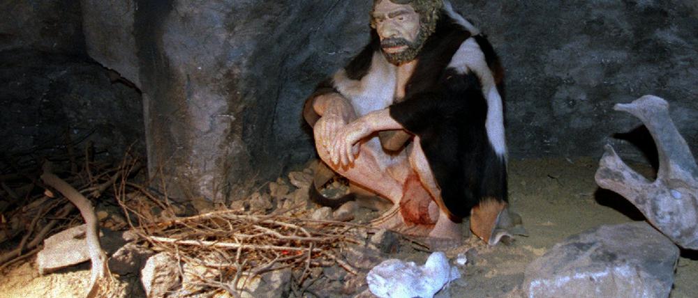 Neandertaler