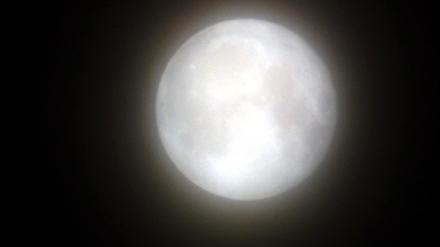Mond