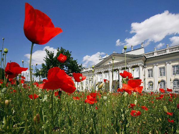Documenta