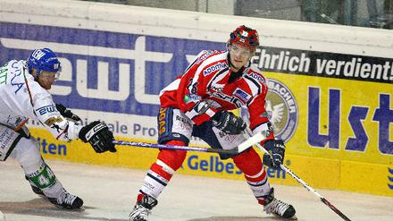Eisbären