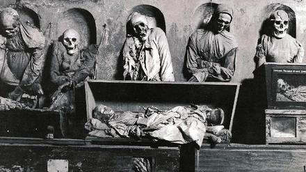 Ausstellung "Six Feet Under"