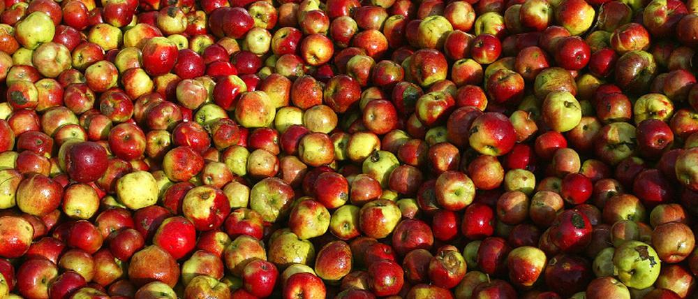 Apfelsaft
