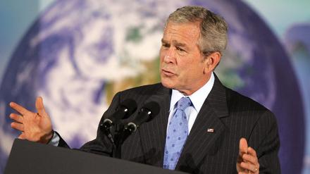 Bush