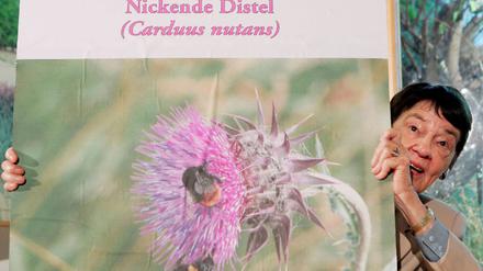 071011distel