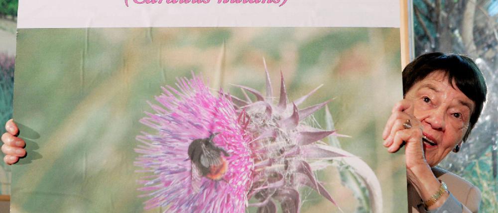 071011distel