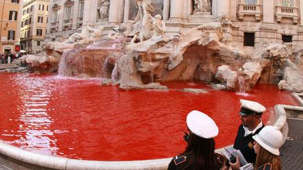 071020trevi