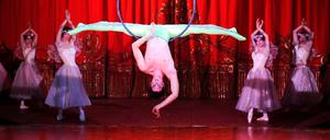 071120zirkus