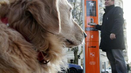 Dog Station