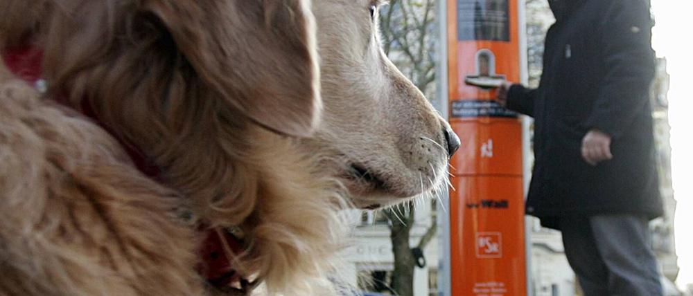 Dog Station