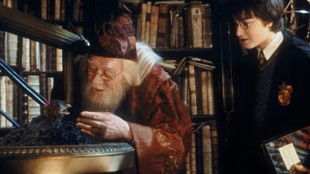 Potter
