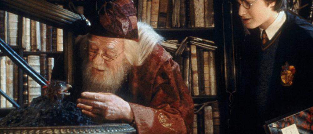 Potter