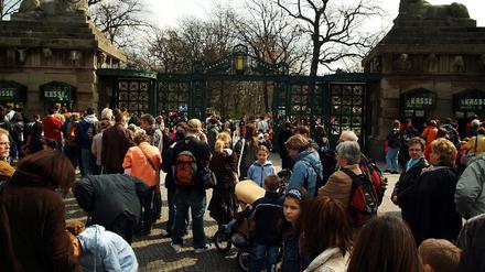 Zoo Berlin