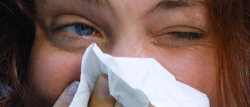 Schnupfen