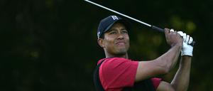 Woods