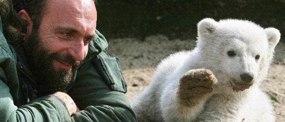 Knut
