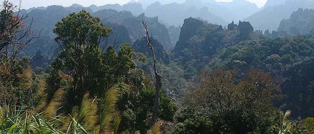 Borneo