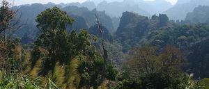 Borneo