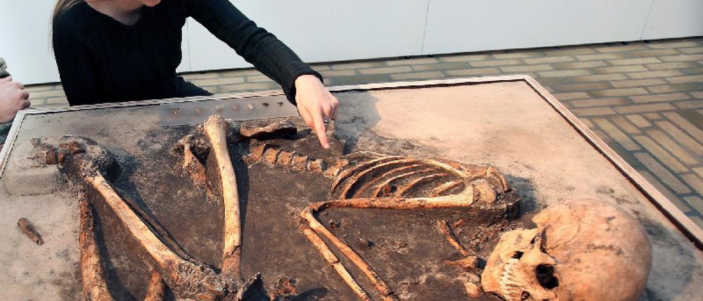 pötzi