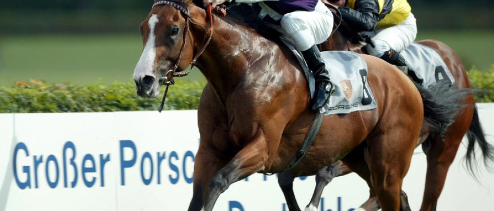 Hoppegarten