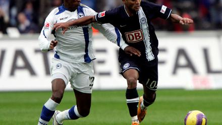 Raffael hertha