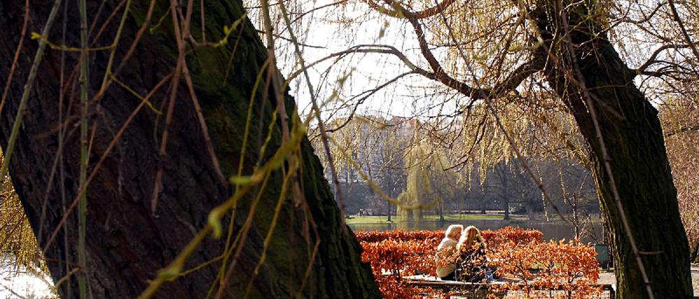 Lietzenseepark