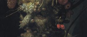 Arcimbolo