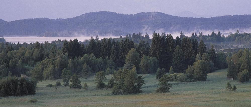 Murnau