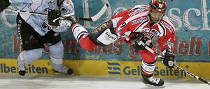 Eisbaeren