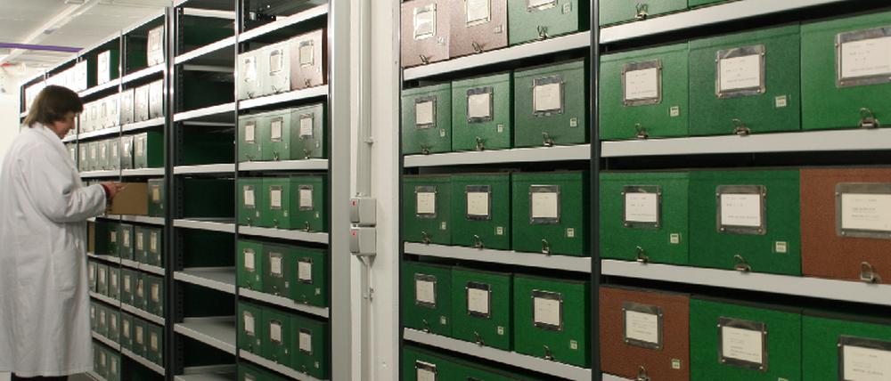 Literaturarchiv