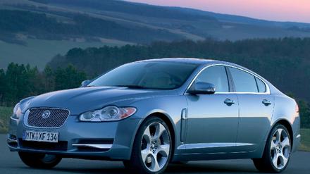 jaguar