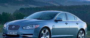 jaguar