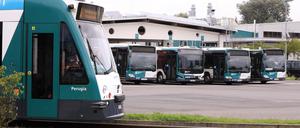 Potsdams Verkehrsbetrieb schafft neue Busse, Straßenbahn an und baut seinen Betriebshof um.