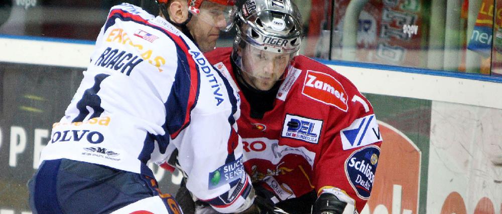 eisbären