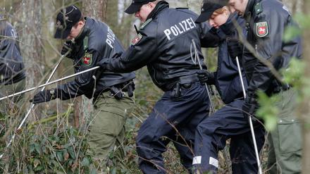 Waldstück Vechta