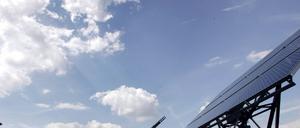 Solon