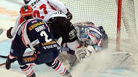 Eisbären