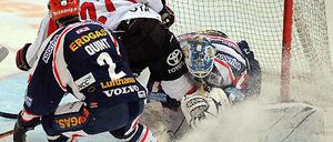 Eisbären