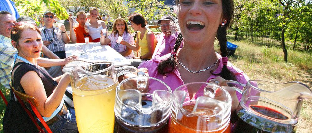Baumblütenfest